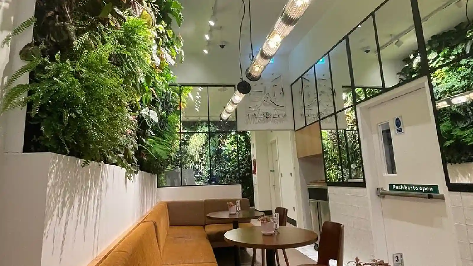 Moon Thai Restaurant